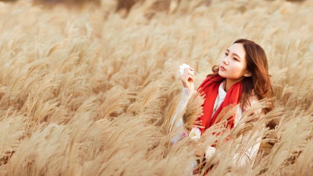 生于忧患死于安乐翻译(生忧患死于安乐翻译及原文)